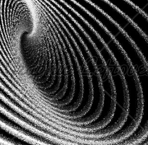 Inside Yoga – Explore the sensation, not the&nbsp;shape.